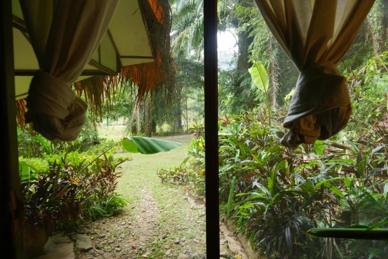 Eco-Logic, Resort For Charity Phato Exterior foto
